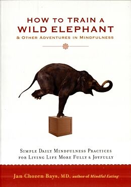 Poche format B How to Train a Wild Elephant von Jan Chozen Bays