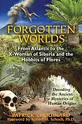 E-Book (epub) Forgotten Worlds von Patrick Chouinard