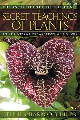 eBook (epub) The Secret Teachings of Plants de Stephen Harrod Buhner