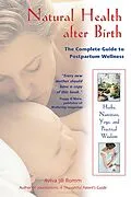 E-Book (epub) Natural Health after Birth von Aviva Jill Romm
