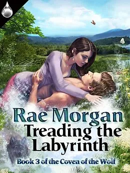 E-Book (epub) Treading the Labyrinth von Rae Morgan