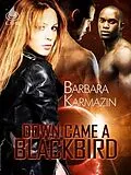 E-Book (epub) Down Came a Blackbird von Barbara Karmazin