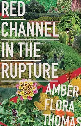 E-Book (epub) Red Channel in the Rupture von Amber Flora Thomas