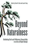 E-Book (epub) Beyond Naturalness von David N. Cole