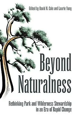 E-Book (epub) Beyond Naturalness von David N. Cole