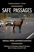 E-Book (epub) Safe Passages von Jon P. Beckmann