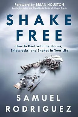 E-Book (epub) Shake Free von Samuel Rodriguez