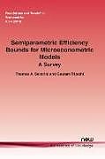 Kartonierter Einband Semiparametric Efficiency Bounds for Microeconometric Models von Thomas A. Severini, Gautam Tripathi