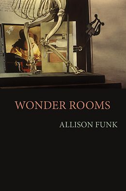 E-Book (pdf) Wonder Rooms von Allison Funk