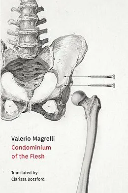 E-Book (epub) Condominium of the Flesh von Valerio Magrelli