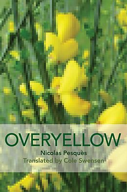 E-Book (pdf) Overyellow, an Installation von Nicholas Pesquès