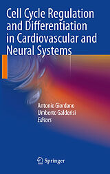 eBook (pdf) Cell Cycle Regulation and Differentiation in Cardiovascular and Neural Systems de Antonio Giordano, Umberto Galderisi