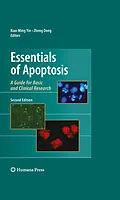 E-Book (pdf) Essentials of Apoptosis von Zheng Dong, Xiao-Ming Yin