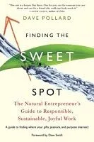 E-Book (epub) Finding the Sweet Spot von Dave Pollard