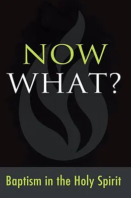 E-Book (pdf) Now What? Baptism in the Holy Spirit von Gospel Publishing House