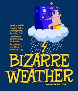 E-Book (epub) Bizarre Weather von Joanne O'Sullivan