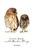E-Book (epub) Little Birds with Broken Wings von David Martin