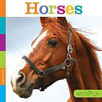 Fester Einband HORSES von Quinn M Arnold
