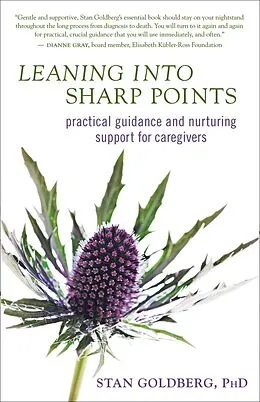 E-Book (pdf) Leaning into Sharp Points von Stan Goldberg