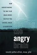 E-Book (pdf) Healing the Angry Brain von Ronald Potter-Efron