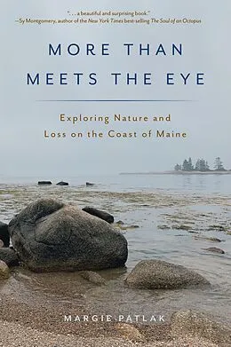 E-Book (epub) More Than Meets the Eye von Margie Patlak