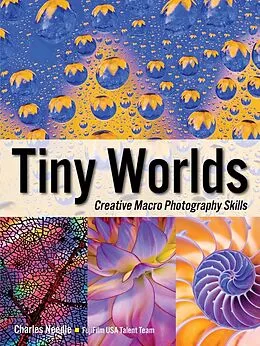 E-Book (epub) Tiny Worlds von Charles Needle