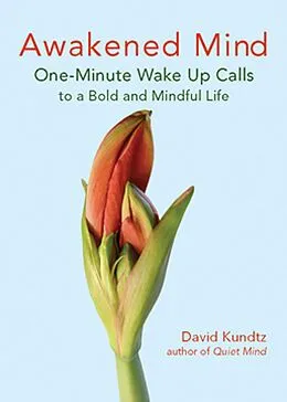 E-Book (epub) Awakened Mind von David Kundtz