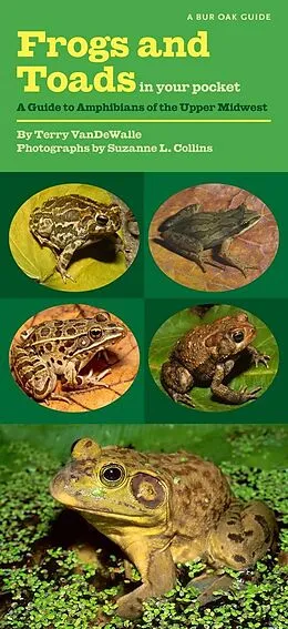 PDF Frogs and Toads in Your Pocket von VanDeWalle Terry VanDeWalle