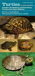 PDF Turtles in Your Pocket von VanDeWalle Terry VanDeWalle, Collins Suzanne L. Collins