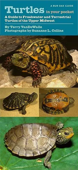 PDF Turtles in Your Pocket von VanDeWalle Terry VanDeWalle, Collins Suzanne L. Collins