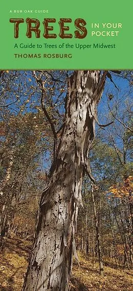 E-Book (pdf) Trees in Your Pocket von Rosburg Thomas Rosburg
