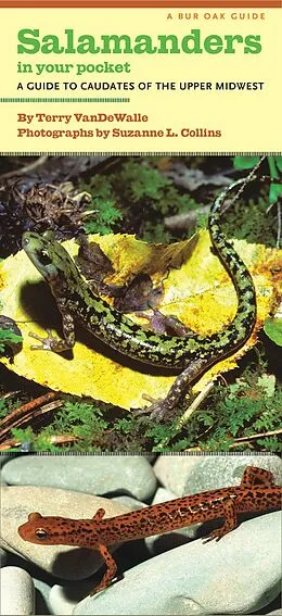 E-Book (pdf) Salamanders in Your Pocket von VanDeWalle Terry VanDeWalle
