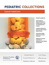 eBook (pdf) Opioid Addiction de 