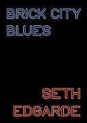 Kartonierter Einband Brick City Blues von Seth Edgarde