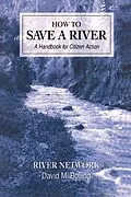 E-Book (epub) How to Save a River von David M. Bolling