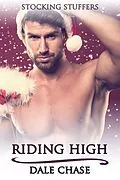 E-Book (epub) Riding High von Dale Chase