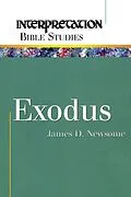 E-Book (epub) Exodus von James D. Newsome Jr.