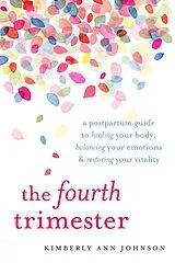 Kartonierter Einband The Fourth Trimester von Kimbely Ann Johnson
