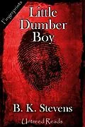 E-Book (epub) Little Dumber Boy von B. K Stevens