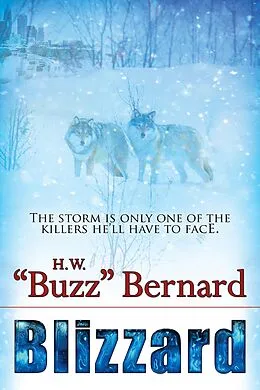 E-Book (pdf) Blizzard von H. W. "Buzz" Bernard