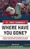 E-Book (epub) St. Louis Cardinals von Rob Rains