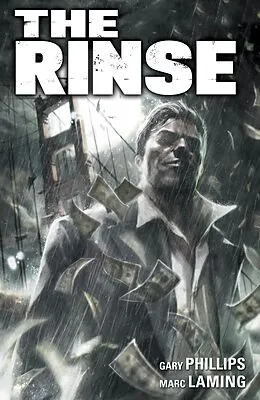 E-Book (epub) The Rinse von Gary Phillips