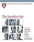 E-Book (epub) Sensitive Gut von MD Lawrence S. Friedman
