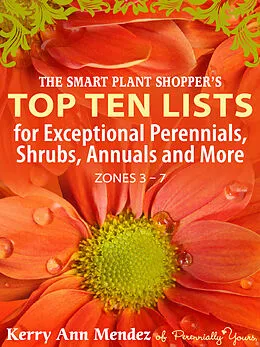E-Book (epub) Smart Shopper's Top Ten Lists von Kerry Ann Mendez