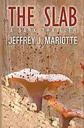 E-Book (epub) The Slab von Jeffrey J. Mariotte
