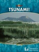 eBook (pdf) Tsunami! de Anne Rooney