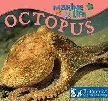 E-Book (pdf) Octopus von Lynn M Stone