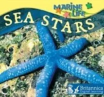 E-Book (pdf) Sea Stars von Lynn M Stone