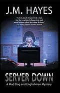 E-Book (epub) Server Down von J. M. Hayes