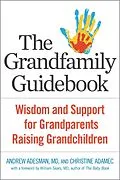 E-Book (epub) Grandfamily Guidebook von Andrew Adesman, Christine Adamec